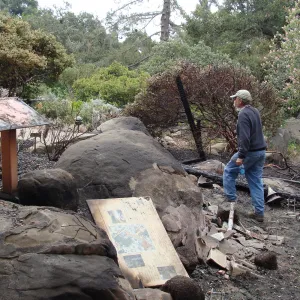 surveying the damage at the Home Demonstration Deck, Santa Barbara Botanic Garden, after the Jesusita Fire