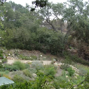 lower Discovery Garden, adjacent to Mission Canyon Road, after the Jesusita Fire