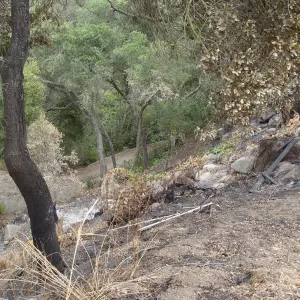 spot fire, burned slope above and behind the Guild House, after the Jesusita Fire