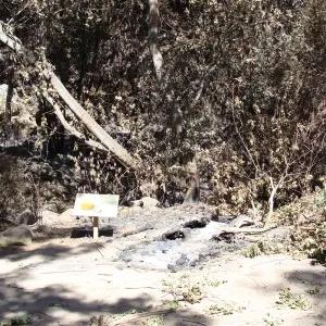 burned remains of the Redwood Cross-section Exhibit, after the Jesusita Fire