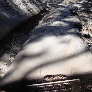 burned wood bench and dedication plaque, after the Jesusita Fire