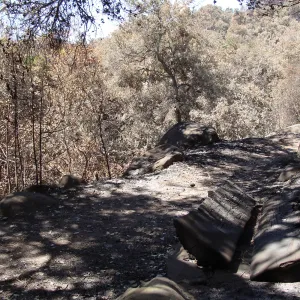 burned wood bench on the Pritchett Trail, after the Jesusita Fire