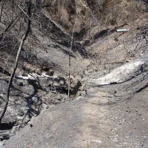 drainage ditch on the Pritchett Trail, after the Jesusita Fire