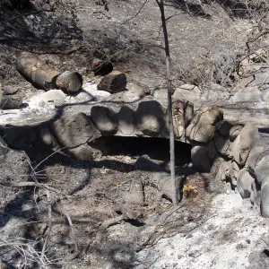 Stone reinforced footbridge on the Pritchett Trail, drainage ditch from Tunnel Road, after the Jesusita Fire