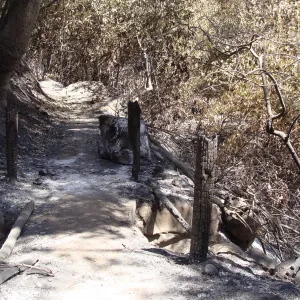 lower Pritchett Trail foot bridge over drainage pipe, burned railings, after the Jesusita Fire