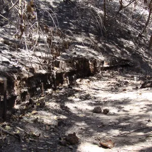 burned remains of wood retaining wall along the Pritchett Trail, after the Jesusita Fire
