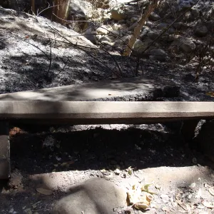 burned wood bench on the Canyon Trail near the Campbell Bridge, after the Jesusita Fire