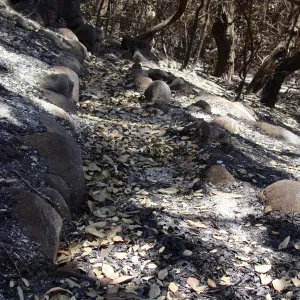 more of the historic aqueduct was uncovered by the Jesusita Fire