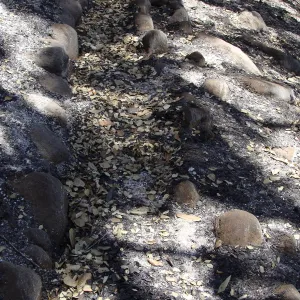 more of the historic aqueduct was uncovered by the Jesusita Fire