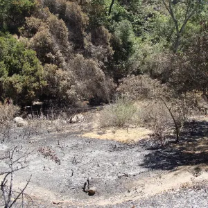 looking down over the Island Section, after the Jesusita Fire
