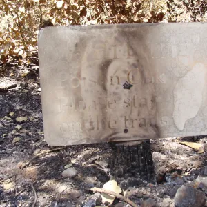 burned metal sign, 'Warning Poison Oak', after the Jesusita Fire