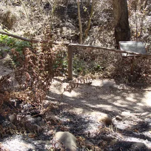path in the Fiber Arts Display, after the Jesusita Fire