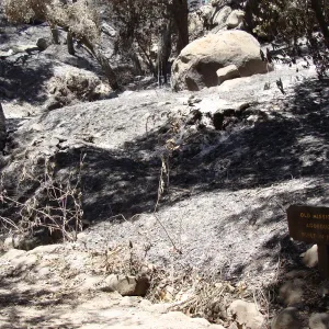 lower end of the Pritchett Trail, old Mission Aqueduct, after the Jesusita Fire