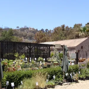 Garden Growers Nursery facility, view from the Courtyard, after the Jesusita Fire
