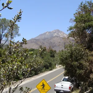 view from the Porter Trail entrance at Mission Canyon Road, after the Jesusita Fire