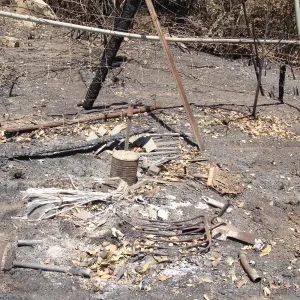 debris at the Gane/Lotterhos site, after the Jesusita Fire