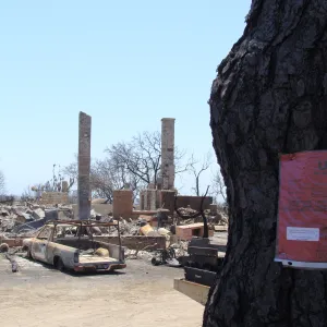 red tag at the Gane/Lotterhos site, after the Jesusita Fire