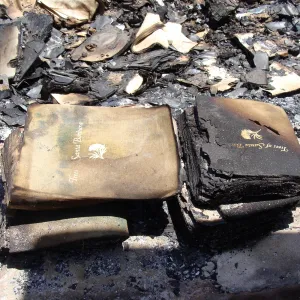 burned copies of 'Trees of Santa Barbara', after the Jesusita Fire