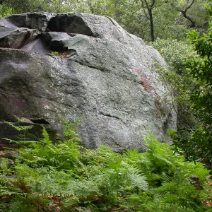 Lassiter Boulder