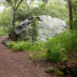 Lassiter Boulder