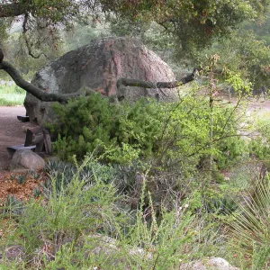 Blaskely Boulder