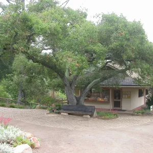 Garden Entrance