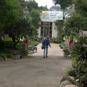 Spring Plant Sale, Blaskely Library