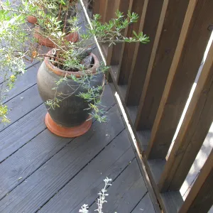 Home Demonstration Deck Pots