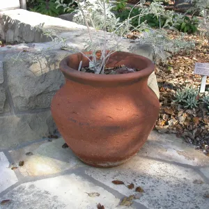 Home Demonstration Garden Pots