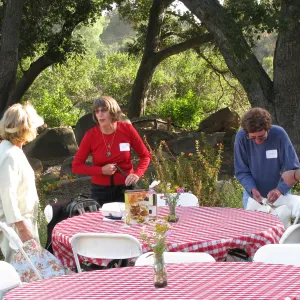 Members Picnic 2010