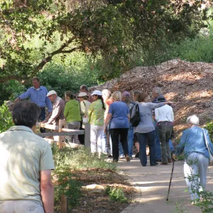 Members Picnic 2010