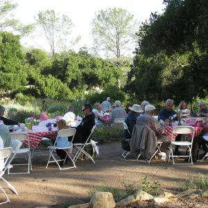 Members Picnic 2010