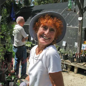 Julie Campbell