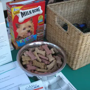 Doggie Bagel Brunch 2009