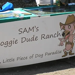 Doggie Bagel Brunch 2009