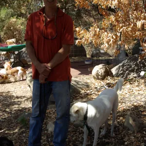 Doggie Bagel Brunch 2009