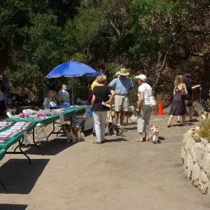 Doggie Bagel Brunch 2009