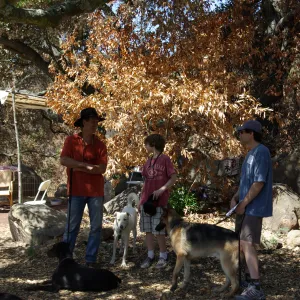 Doggie Bagel Brunch 2009