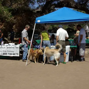 Doggie Bagel Brunch 2009