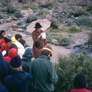 UCSB Botany 103 winter quarter field trip to Anza Borrego Desert