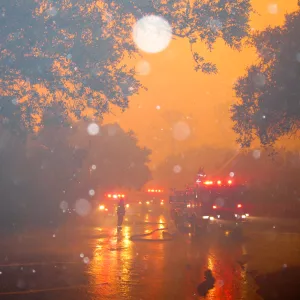 Jesusita Fire in the Garden, taken by a firefighter during the firestorm at SBBG