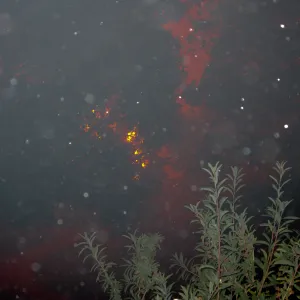 Jesusita Fire in the Garden, taken by a firefighter during the firestorm at SBBG