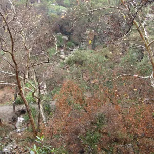 SBBG winter storm, January 2010, after Jesusita Fire