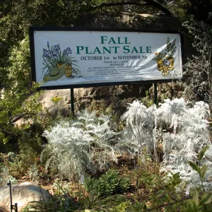 'Fall Plant Sale' banner, SBBG Fall Plant Sale 2010