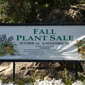 'Fall Plant Sale' banner, SBBG Fall Plant Sale 2010