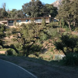 Tunnel Road along Pritchett Trail (Coastal Live Oak)