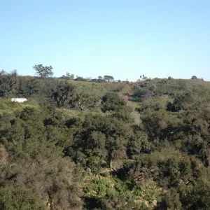 Tunnel Road along Pritchett Trail