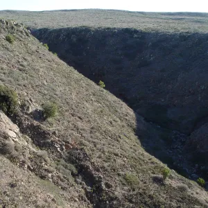 San Clemente Island, SBBG Research 2007