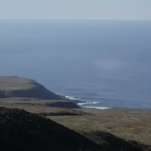 San Clemente Island, SBBG Research 2007