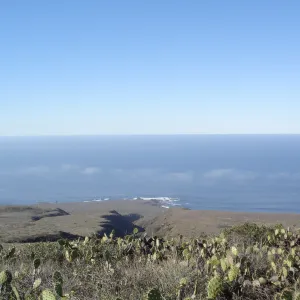 San Clemente Island, SBBG Research 2007